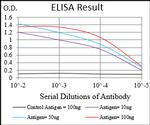 MMEL1 Antibody in ELISA (ELISA)