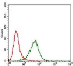 MMEL1 Antibody in Flow Cytometry (Flow)