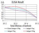 MOB1A Antibody in ELISA (ELISA)