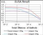 NRCAM Antibody in ELISA (ELISA)