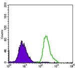 P2Y13 Antibody in Flow Cytometry (Flow)