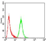 P2Y13 Antibody in Flow Cytometry (Flow)