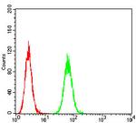 P2Y8 Antibody in Flow Cytometry (Flow)