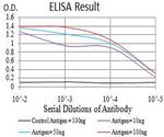 PCDH9 Antibody in ELISA (ELISA)
