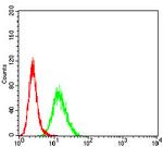 PCDH9 Antibody in Flow Cytometry (Flow)
