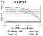 MNAR Antibody in ELISA (ELISA)