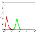 MNAR Antibody in Flow Cytometry (Flow)