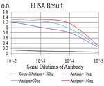 MNAR Antibody in ELISA (ELISA)