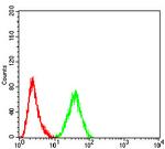 MNAR Antibody in Flow Cytometry (Flow)