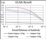 PER3 Antibody in ELISA (ELISA)