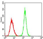 PER3 Antibody in Flow Cytometry (Flow)