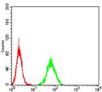 PGRMC1 Antibody in Flow Cytometry (Flow)