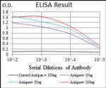 PLAGL1 Antibody in ELISA (ELISA)