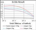 PLAGL1 Antibody in ELISA (ELISA)