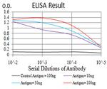PRDM5 Antibody in ELISA (ELISA)