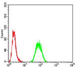 PRDM5 Antibody in Flow Cytometry (Flow)