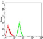 RAB1B Antibody in Flow Cytometry (Flow)