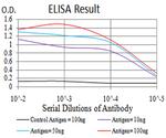 RAB6B Antibody in ELISA (ELISA)