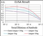 RhoF Antibody in ELISA (ELISA)