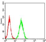 RhoF Antibody in Flow Cytometry (Flow)