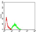 RIPK4 Antibody in Flow Cytometry (Flow)
