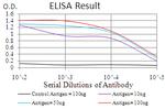 ARHE Antibody in ELISA (ELISA)