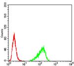 ARHE Antibody in Flow Cytometry (Flow)
