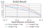 ARHE Antibody in ELISA (ELISA)