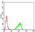 ARHE Antibody in Flow Cytometry (Flow)