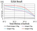 Renalase Antibody in ELISA (ELISA)
