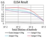SEC31A Antibody in ELISA (ELISA)