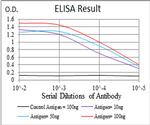 SSH1 Antibody in ELISA (ELISA)