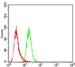 SSH1 Antibody in Flow Cytometry (Flow)