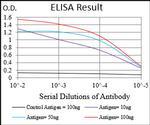 SMCP Antibody in ELISA (ELISA)