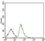 SCP3 Antibody in Flow Cytometry (Flow)