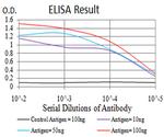 Synapsin 1 Antibody in ELISA (ELISA)
