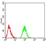 THAP1 Antibody in Flow Cytometry (Flow)