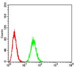 THAP1 Antibody in Flow Cytometry (Flow)