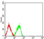 TLL1 Antibody in Flow Cytometry (Flow)