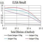 TLL1 Antibody in ELISA (ELISA)