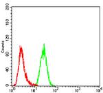TLL1 Antibody in Flow Cytometry (Flow)