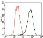 TUBB2A Antibody in Flow Cytometry (Flow)