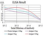 UCP3 Antibody in ELISA (ELISA)