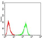 ULK2 Antibody in Flow Cytometry (Flow)