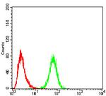 ULK2 Antibody in Flow Cytometry (Flow)