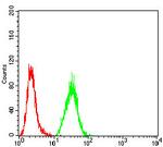 WNT3A Antibody in Flow Cytometry (Flow)