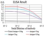 ZFP91 Antibody in ELISA (ELISA)