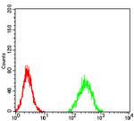 ZFP91 Antibody in Flow Cytometry (Flow)