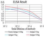 ZFP91 Antibody in ELISA (ELISA)