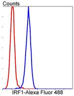 IRF1 Antibody in Flow Cytometry (Flow)